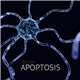 Below - Apoptosis